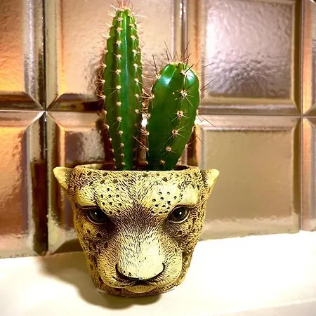 Coral Canteras Loft By Gestion Vacacional Canarias Apartamento *